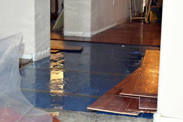 Professional Burst Pipe Water Damage technician working in Pine, AZ